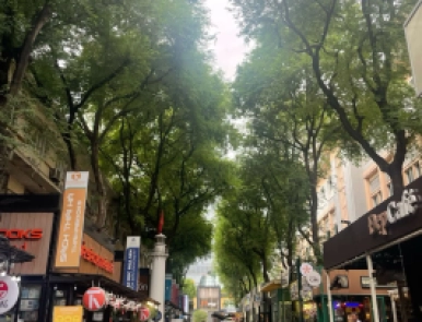 thu mua phế liệu tân bình
