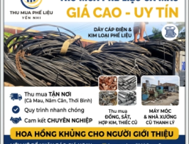 Thu Mua Phế Liệu Cà Mau Giá Cao - Tận Nơi, Hoa Hồng Khủng
