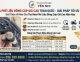 Thu Mua Đồng Phế Liệu Giá Cao Toàn Quốc | Tận Nơi, Hoa Hồng Cao