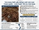 Mua Dây Cáp Điện Cũ Giá Cao Toàn Quốc - Thu Mua Tận Nơi, Uy Tín