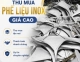 Dịch vụ thu mua phế liệu inox giá cao, thanh toán liền tay