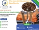 Thu Mua Phế Liệu Giá Cao Tại Bình Phước – Thu Mua Tận Nơi 24/7