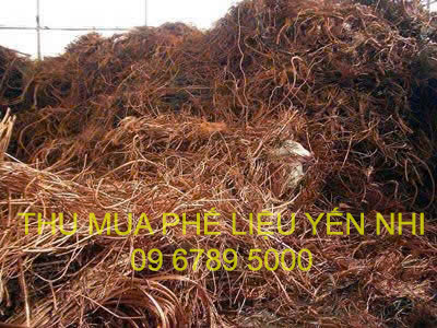 thu mua phế liệu
