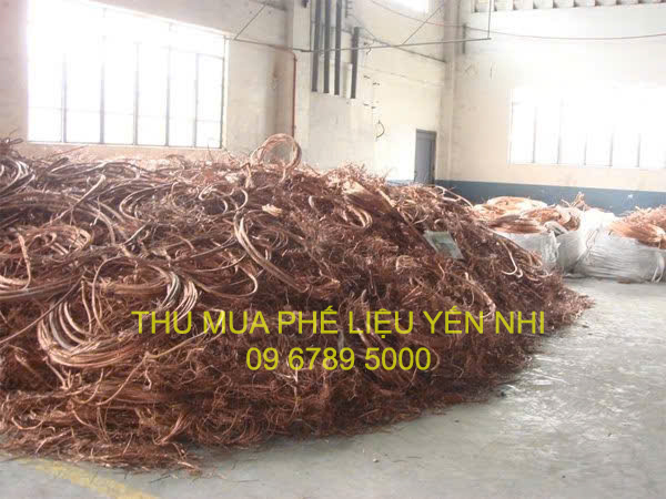thu mua phế liệu